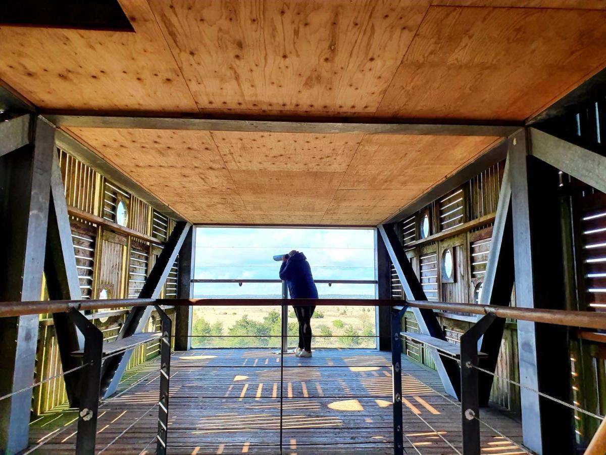 4P Chalet Tolve Met 4 Fietsen Vlakbij Natuurgebieden Drents Friese Wold, Fochteloerveen En Gevangenisdorp Veenhuizen Oosterwolde  Εξωτερικό φωτογραφία