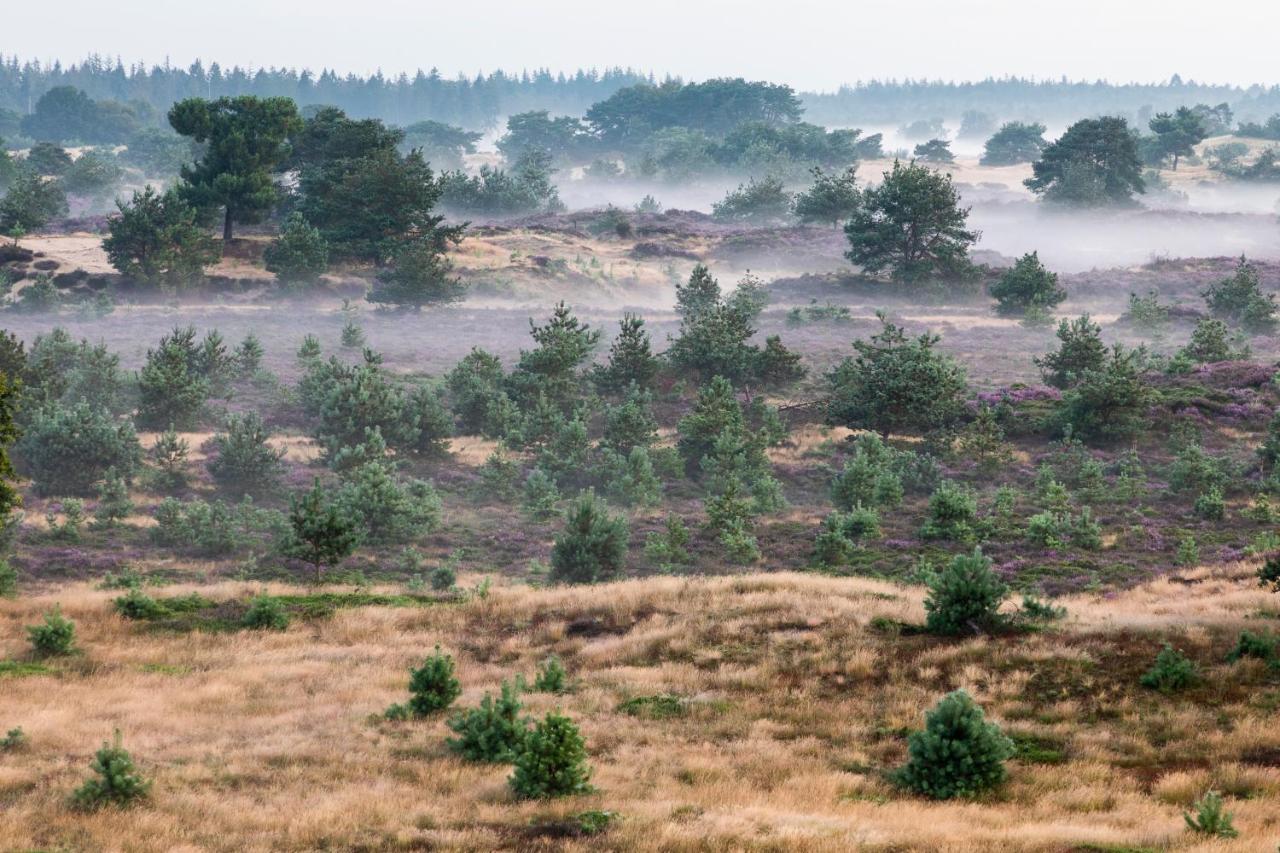4P Chalet Tolve Met 4 Fietsen Vlakbij Natuurgebieden Drents Friese Wold, Fochteloerveen En Gevangenisdorp Veenhuizen Oosterwolde  Εξωτερικό φωτογραφία