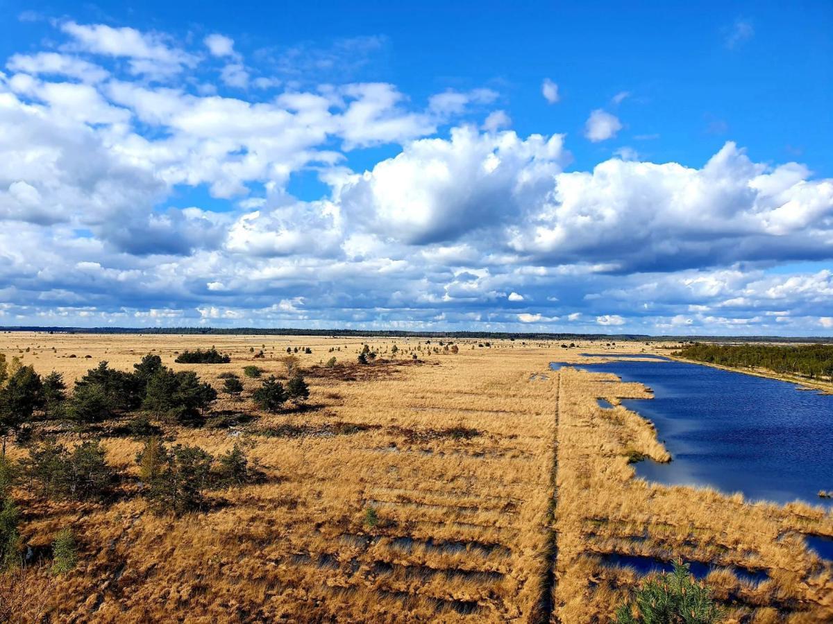 4P Chalet Tolve Met 4 Fietsen Vlakbij Natuurgebieden Drents Friese Wold, Fochteloerveen En Gevangenisdorp Veenhuizen Oosterwolde  Εξωτερικό φωτογραφία